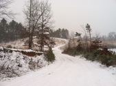 Enlarge photo 260