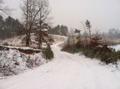 Enlarge photo 261