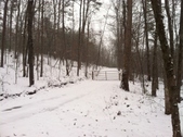 Enlarge photo 266