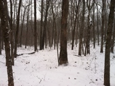 Enlarge photo 268