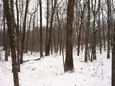 Enlarge photo 269