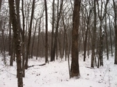 Enlarge photo 270