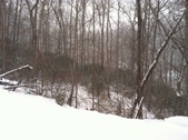 Enlarge photo 277