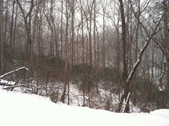 Enlarge photo 278