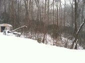 Enlarge photo 279