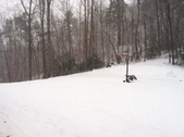 Enlarge photo 280