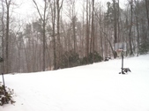 Enlarge photo 281