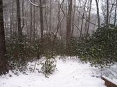 Enlarge photo 282