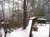 Enlarge photo 283