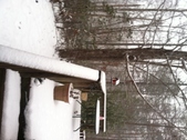 Enlarge photo 284
