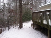 Enlarge photo 289
