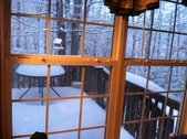Enlarge photo 291