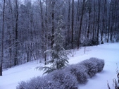 Enlarge photo 292