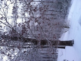Enlarge photo 293