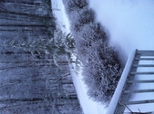 Enlarge photo 294