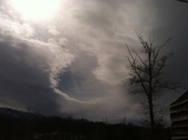 Enlarge photo 110