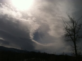 Enlarge photo 111