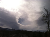 Enlarge photo 113