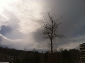 Enlarge photo 114