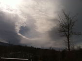 Enlarge photo 115
