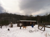 Enlarge photo 117