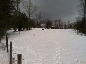 Enlarge photo 119