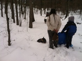 Enlarge photo 120