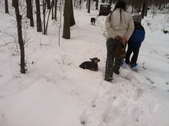 Enlarge photo 121