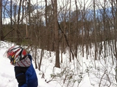 Enlarge photo 122