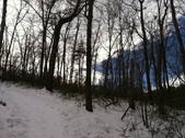 Enlarge photo 125