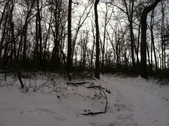 Enlarge photo 126