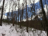 Enlarge photo 127