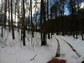 Enlarge photo 129