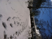 Enlarge photo 136