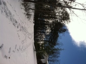 Enlarge photo 138