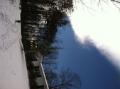 Enlarge photo 139