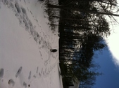 Enlarge photo 140