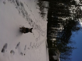 Enlarge photo 141