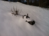 Enlarge photo 148