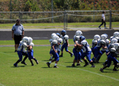 Enlarge photo 18