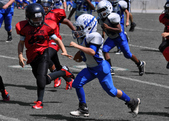 Enlarge photo 68