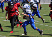 Enlarge photo 67