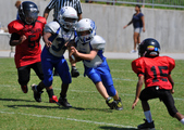 Enlarge photo 71