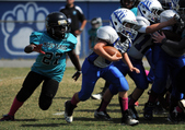 Enlarge photo 59