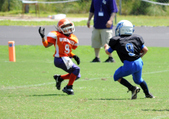 Enlarge photo 40