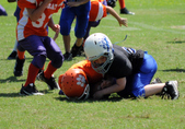 Enlarge photo 14