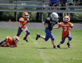 Enlarge photo 131