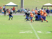 Enlarge photo 133