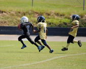 Enlarge photo 146