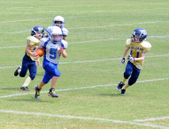 Enlarge photo 154